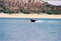 Caspe aout 2005 6
